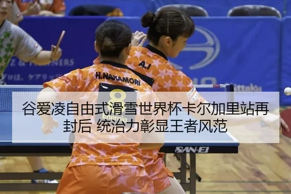 gu-ai-ling-zi-you-shi-hua-xue-shi-jie-bei-ka-er-jia-li-zhan-zai-feng-hou-tong-zhi-li-zhang-xian-wang-zhe-feng-fan-3-473.jpg